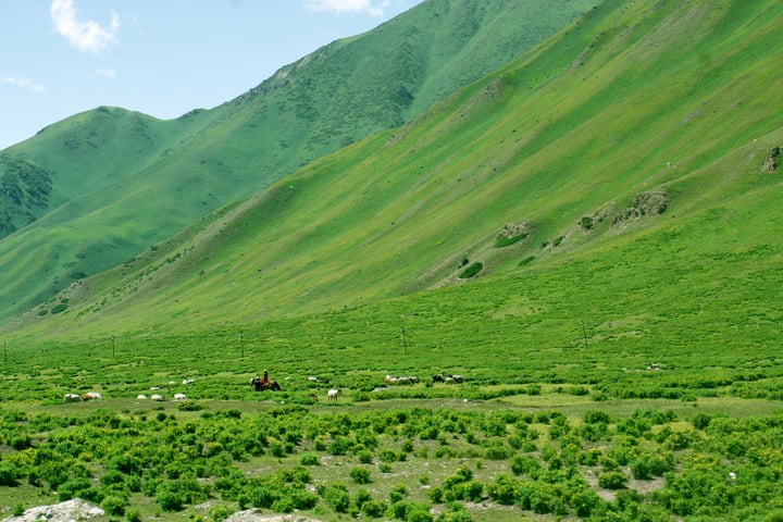 A green valley dotted with small grazing animals